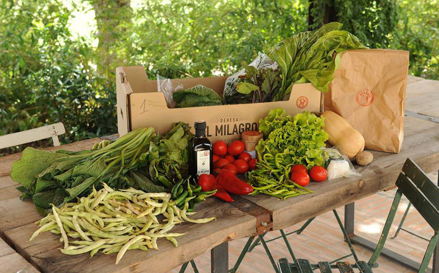 Verduras ecológicas, mejor crudas o cocinadas?